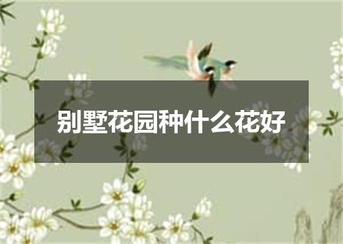 别墅花园种什么花好