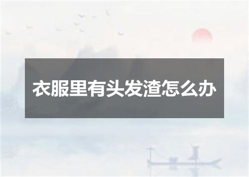 衣服里有头发渣怎么办