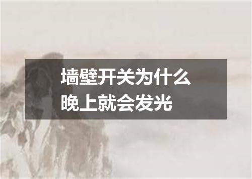 墙壁开关为什么晚上就会发光