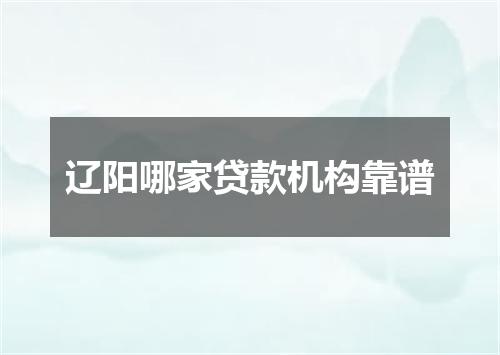 辽阳哪家贷款机构靠谱