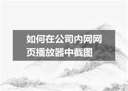 如何在公司内网网页播放器中截图