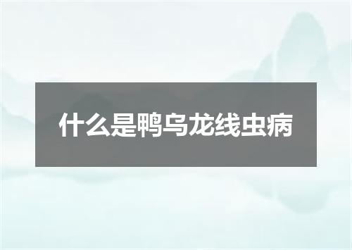 什么是鸭乌龙线虫病