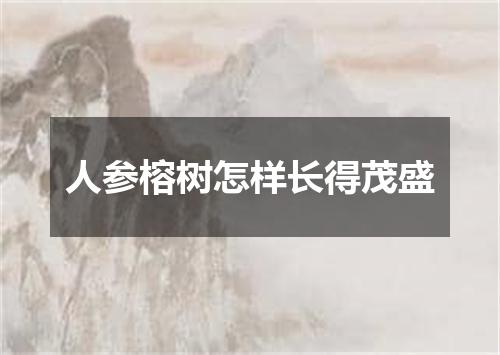 人参榕树怎样长得茂盛