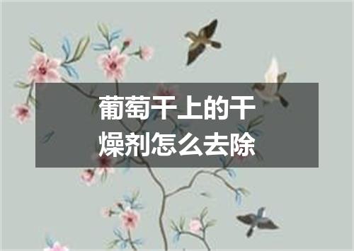 葡萄干上的干燥剂怎么去除