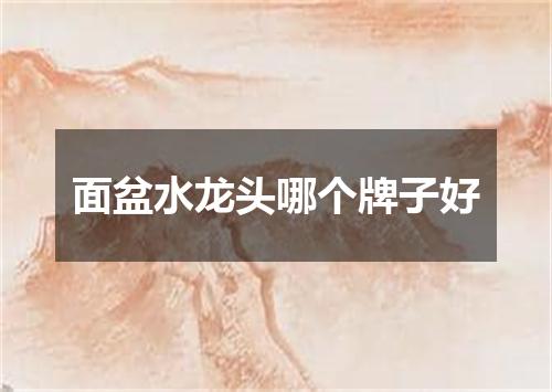 面盆水龙头哪个牌子好