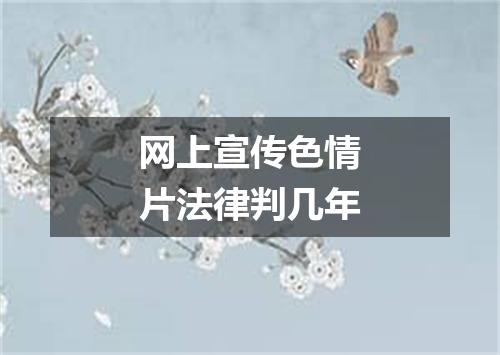 网上宣传色情片法律判几年