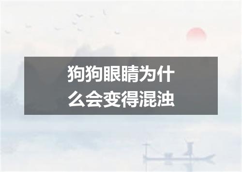 狗狗眼睛为什么会变得混浊