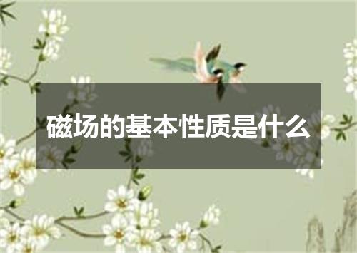 磁场的基本性质是什么