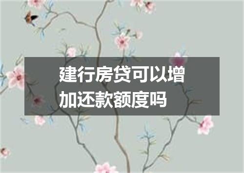 建行房贷可以增加还款额度吗