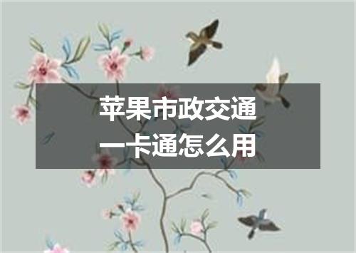 苹果市政交通一卡通怎么用