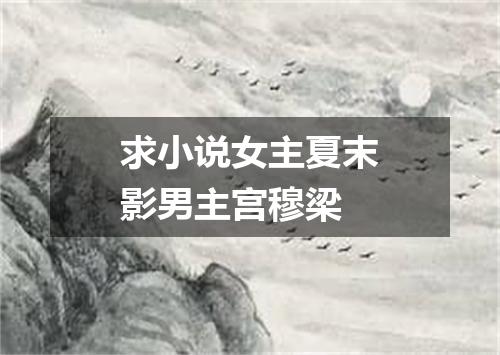 求小说女主夏末影男主宫穆梁