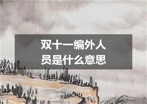 双十一编外人员是什么意思