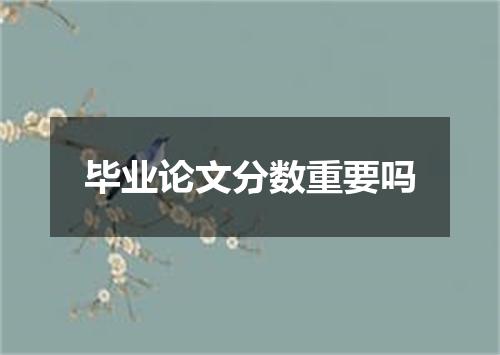 毕业论文分数重要吗