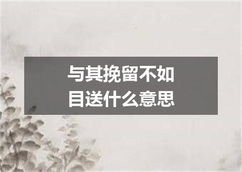 与其挽留不如目送什么意思