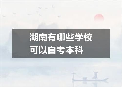 湖南有哪些学校可以自考本科