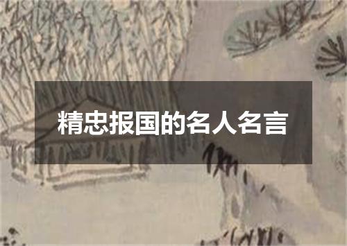 精忠报国的名人名言