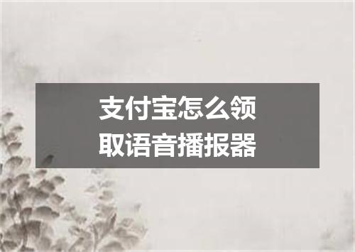 支付宝怎么领取语音播报器