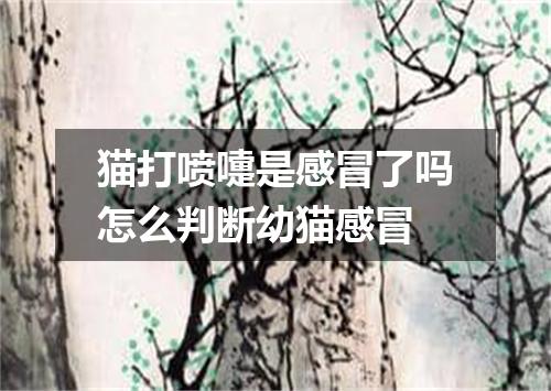 猫打喷嚏是感冒了吗怎么判断幼猫感冒