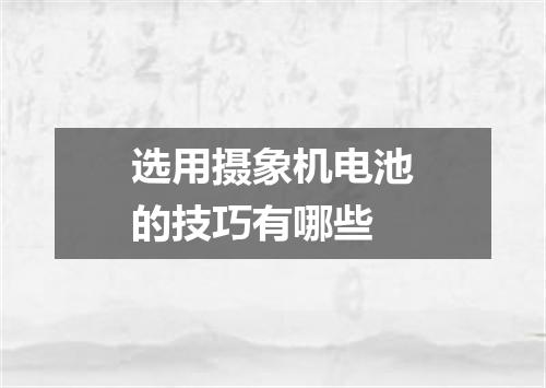 选用摄象机电池的技巧有哪些