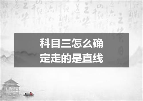 科目三怎么确定走的是直线