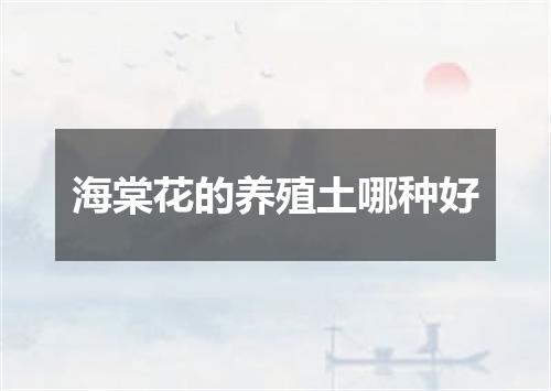 海棠花的养殖土哪种好