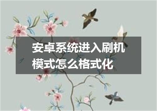 安卓系统进入刷机模式怎么格式化