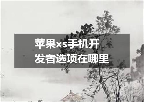 苹果xs手机开发者选项在哪里