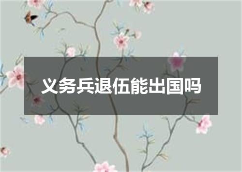 义务兵退伍能出国吗