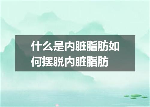 什么是内脏脂肪如何摆脱内脏脂肪