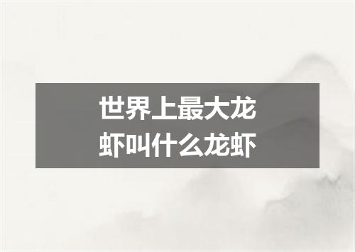 世界上最大龙虾叫什么龙虾