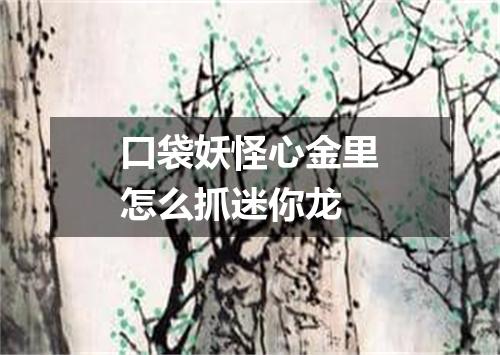 口袋妖怪心金里怎么抓迷你龙