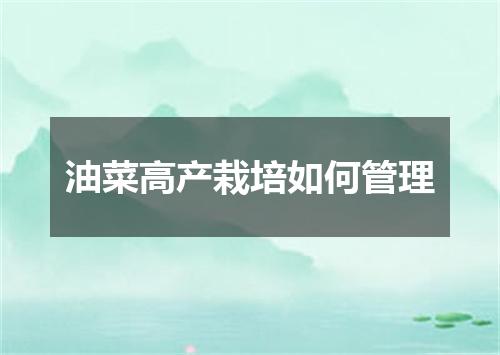 油菜高产栽培如何管理