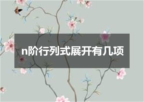n阶行列式展开有几项