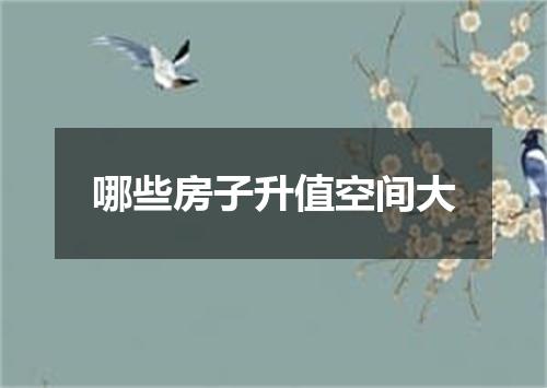 哪些房子升值空间大