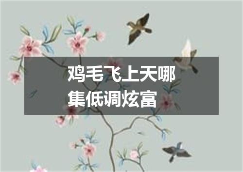 鸡毛飞上天哪集低调炫富