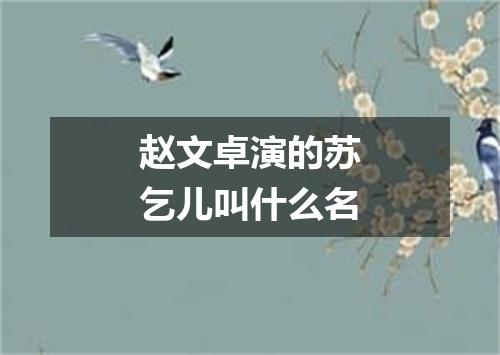 赵文卓演的苏乞儿叫什么名