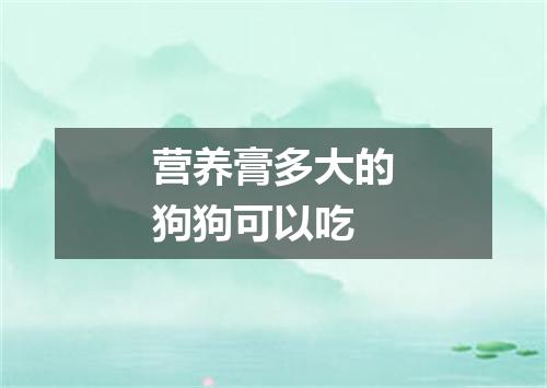 营养膏多大的狗狗可以吃