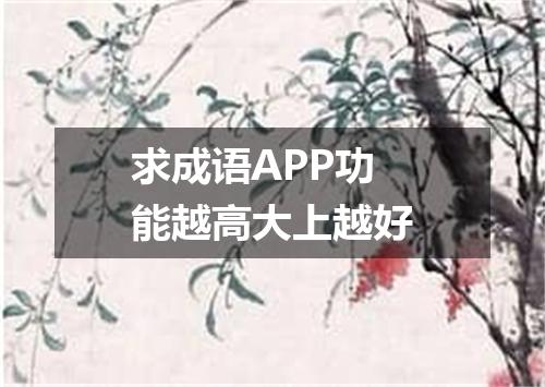 求成语APP功能越高大上越好
