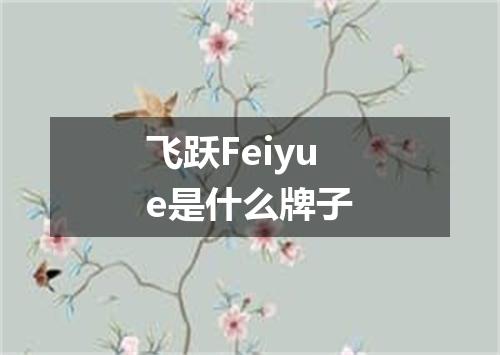 飞跃Feiyue是什么牌子