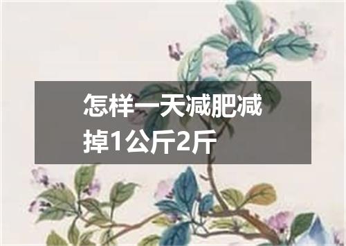 怎样一天减肥减掉1公斤2斤