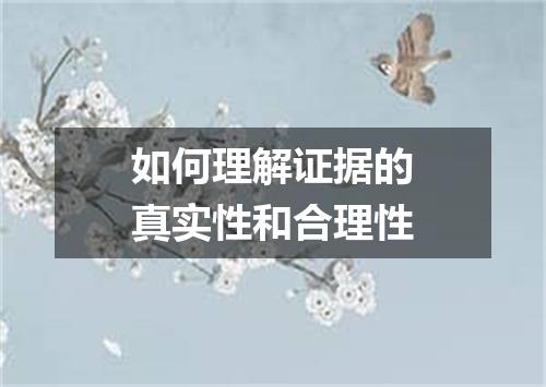 如何理解证据的真实性和合理性