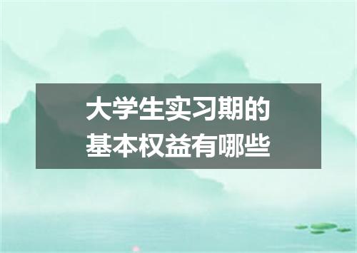 大学生实习期的基本权益有哪些
