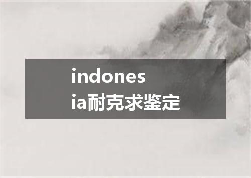 indonesia耐克求鉴定