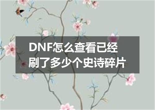 DNF怎么查看已经刷了多少个史诗碎片