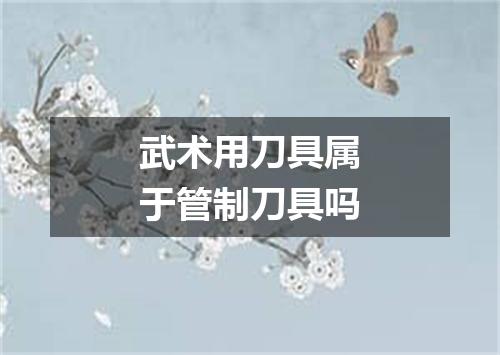 武术用刀具属于管制刀具吗