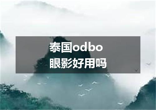 泰国odbo眼影好用吗