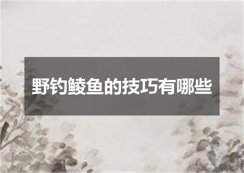 野钓鲮鱼的技巧有哪些
