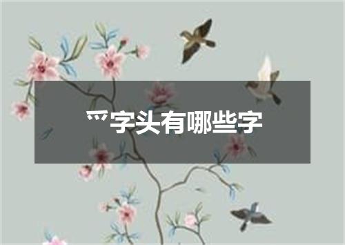 爫字头有哪些字