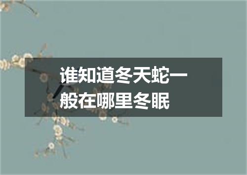 谁知道冬天蛇一般在哪里冬眠