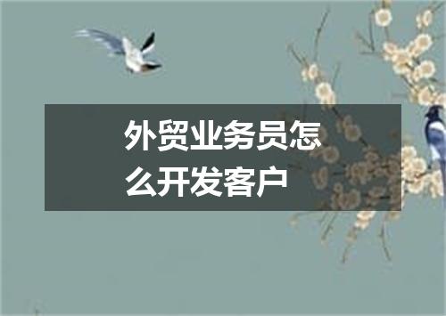 外贸业务员怎么开发客户